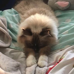 Meet your Posher, Parker